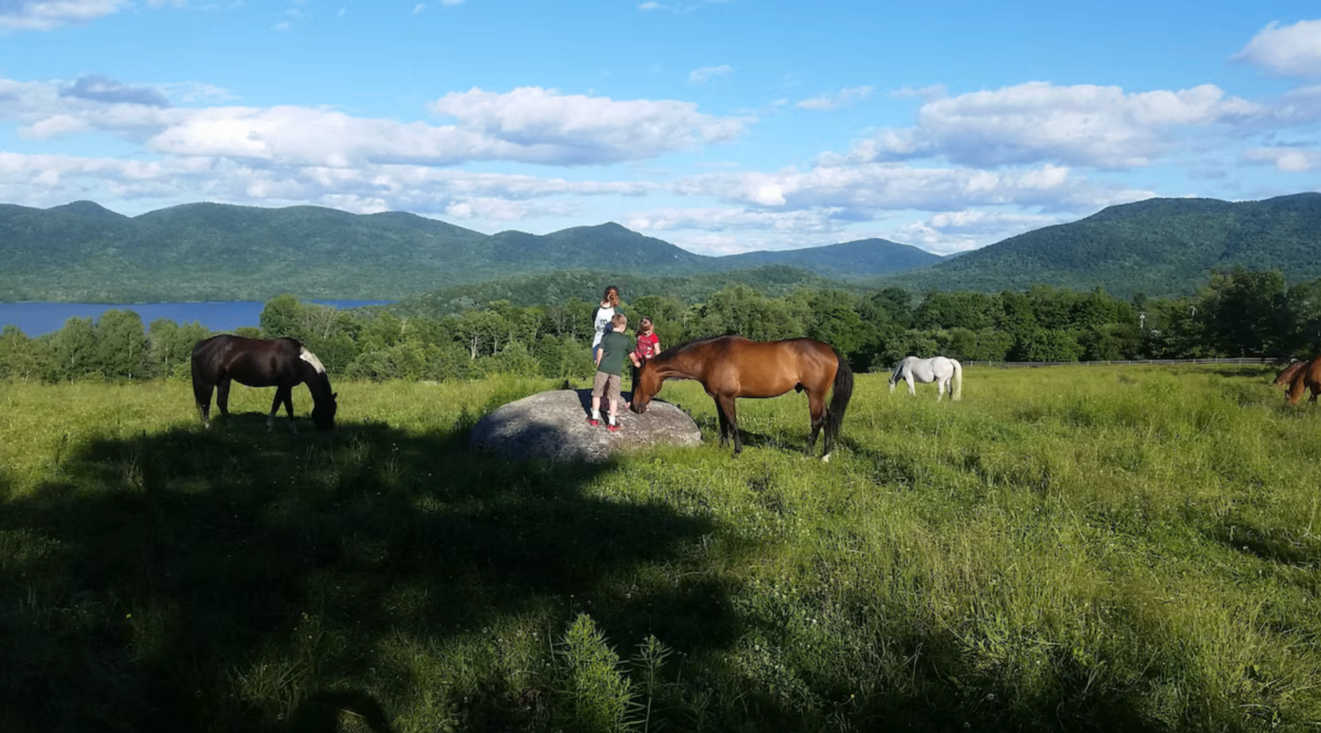 Children and horses in a summer pasture overlooking Chittenden Reservoir and the Green Mountains