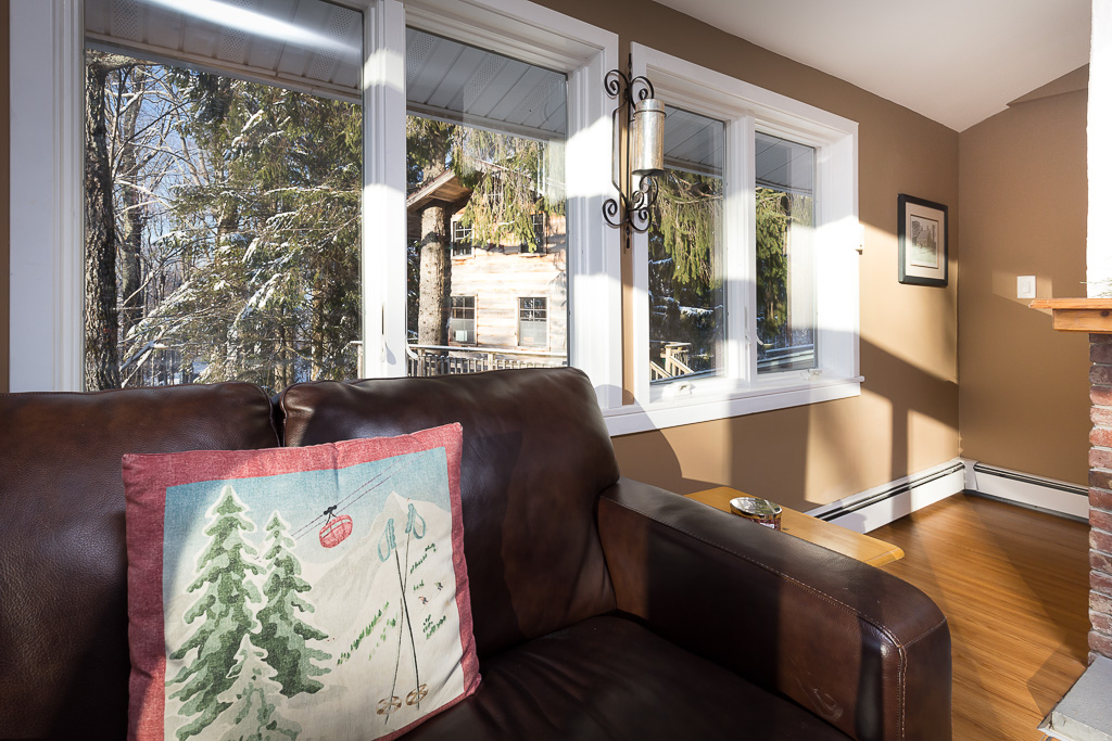 Cozy living-room corner with leather sofa and a window view of the treehouse